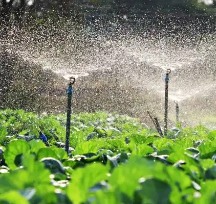 Best Copper wire mesh, Authorised Copper wire mesh Supplier, Good Quality Copper wire mesh Supplier, Copper wire mesh supplier, Copper wire mesh seller, Copper wire mesh distributor, Copper wire mesh dealer, Copper wire mesh supplier, Copper wire mesh seller , Copper wire mesh distributor, Copper wire mesh dealer